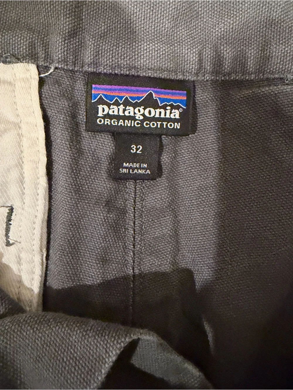 Patagonia classic flat
